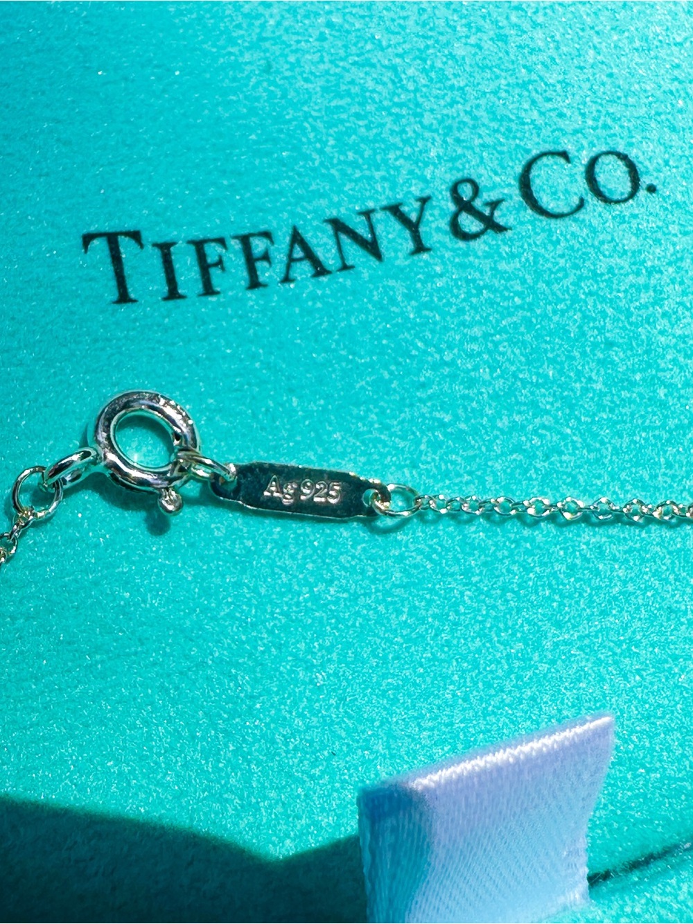 Tiffany & Co Purse Charm Necklace - Picture 5 of 7